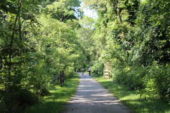 Sheepskin Trail Shot